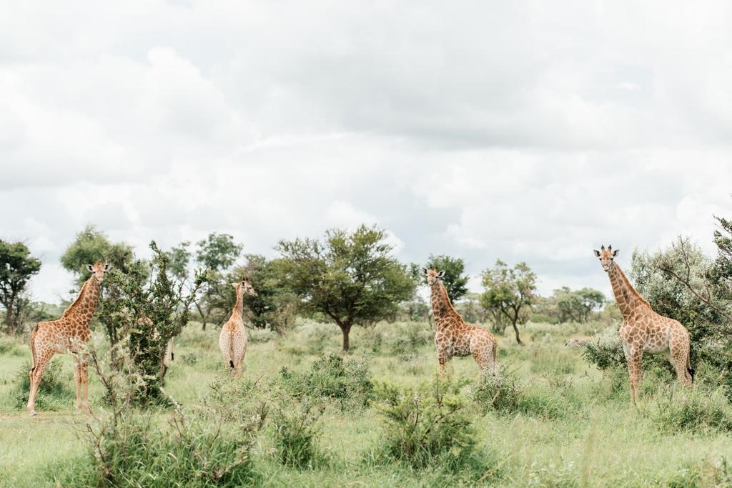 Monate Game Lodge Modimolle Exterior photo